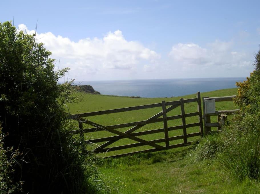 Lower Tresmorn Farmhouse Crackington Haven Exterior foto